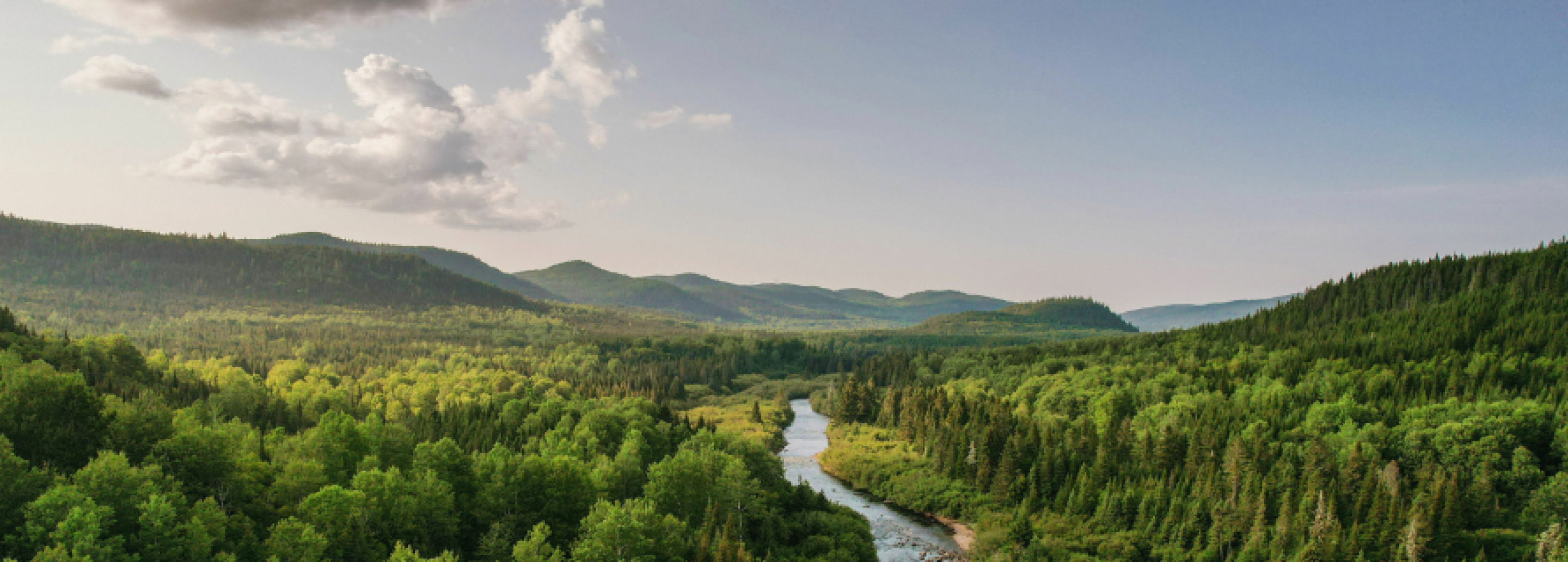 Products Our Commitment Forest River Mountains_